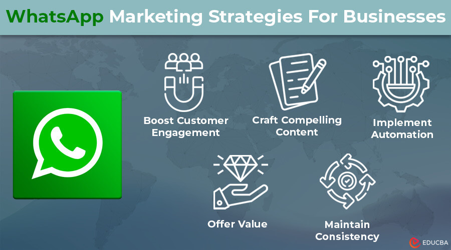WhatsApp Marketing – A Detailed Guide For Businesses | E-Services 360